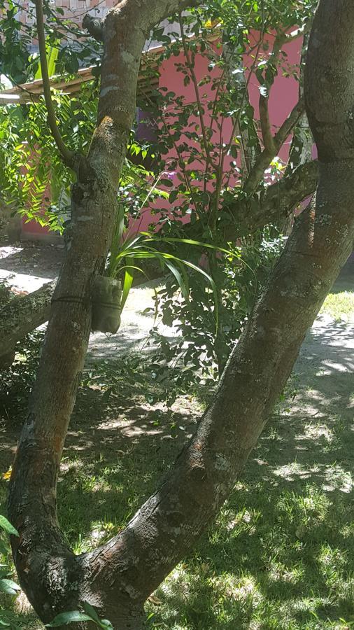 Pousada Grafite Trancoso Kültér fotó
